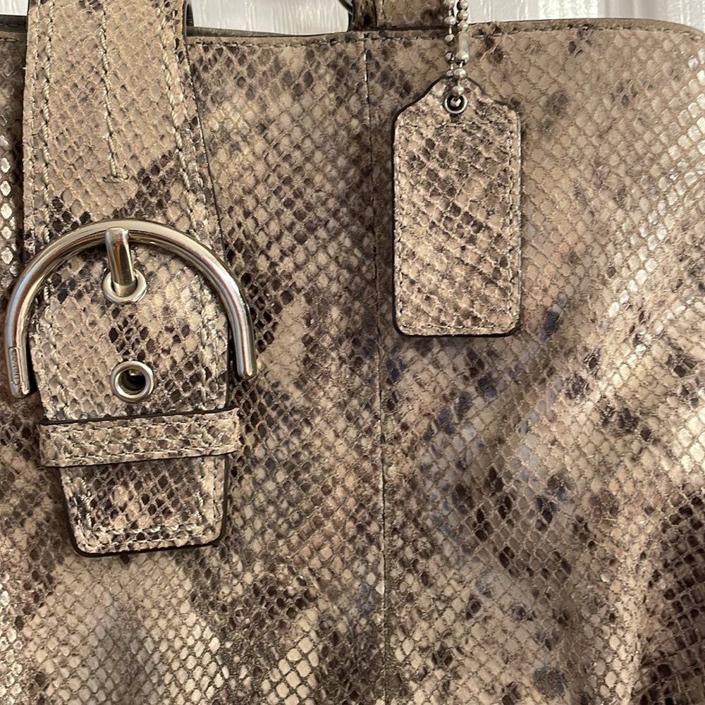 Beautiful Pre Loved Python Coach - image 3